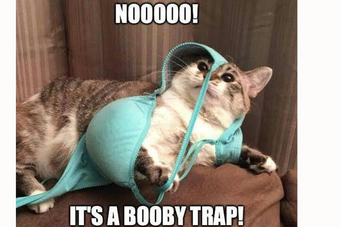 NOOOOO!
IT'S A BOOBY TRAP!