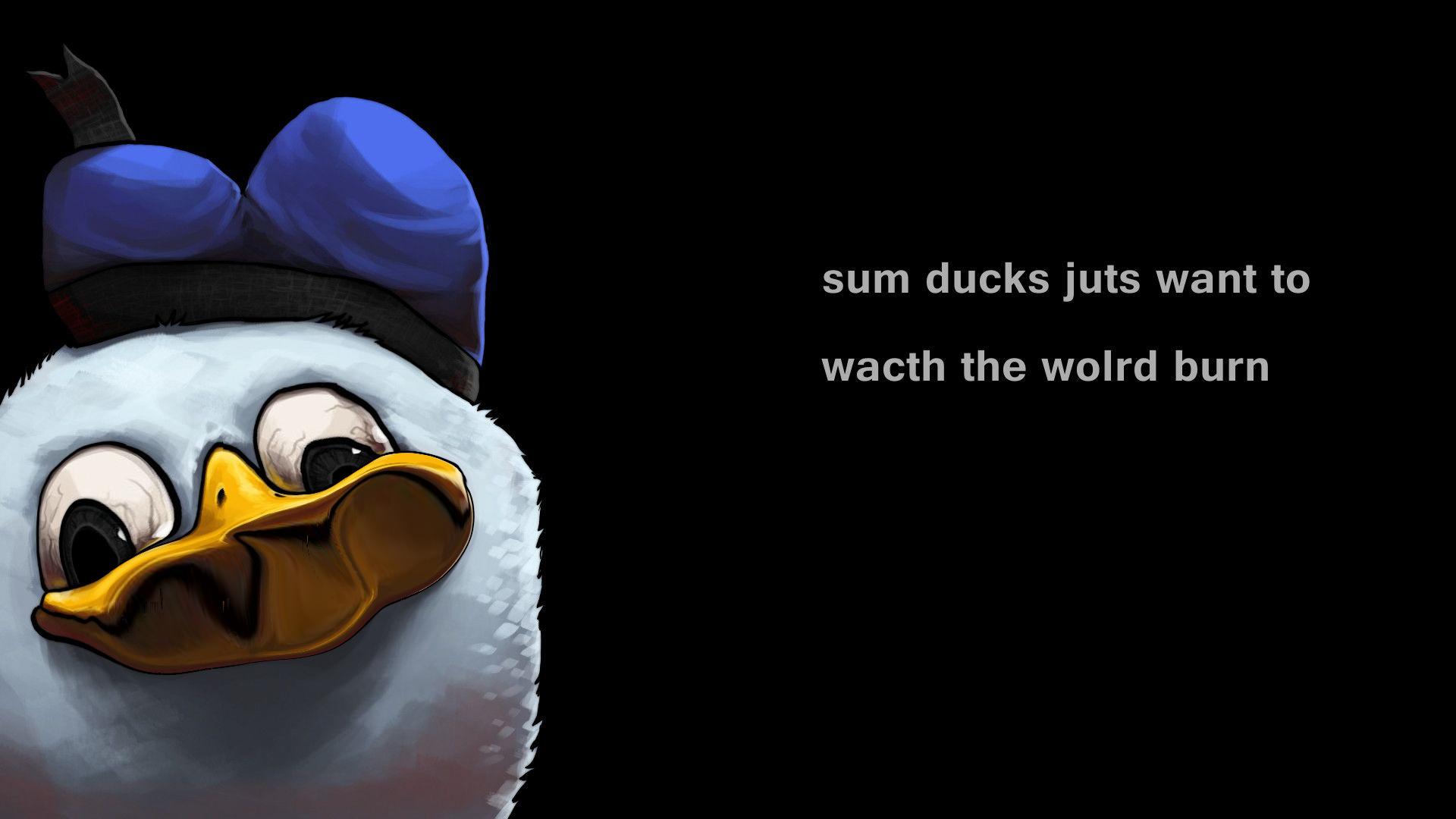 ww
sum ducks juts want to
wacth the wolrd burn