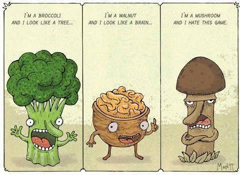 I'M A BROCCOLI
AND I LOOK LIKE A TREE...
I'M A WALNUT
AND I LOOK LIKE A BRAIN...
I'M A MUSHROOM
AND I HATE THIS GAME.
Dobb
MONIT.