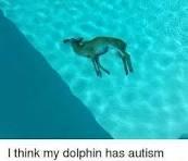 I think my dolphin has autism