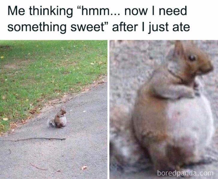 Me thinking "hmm... now I need
something sweet" after I just ate
boredpanda.com