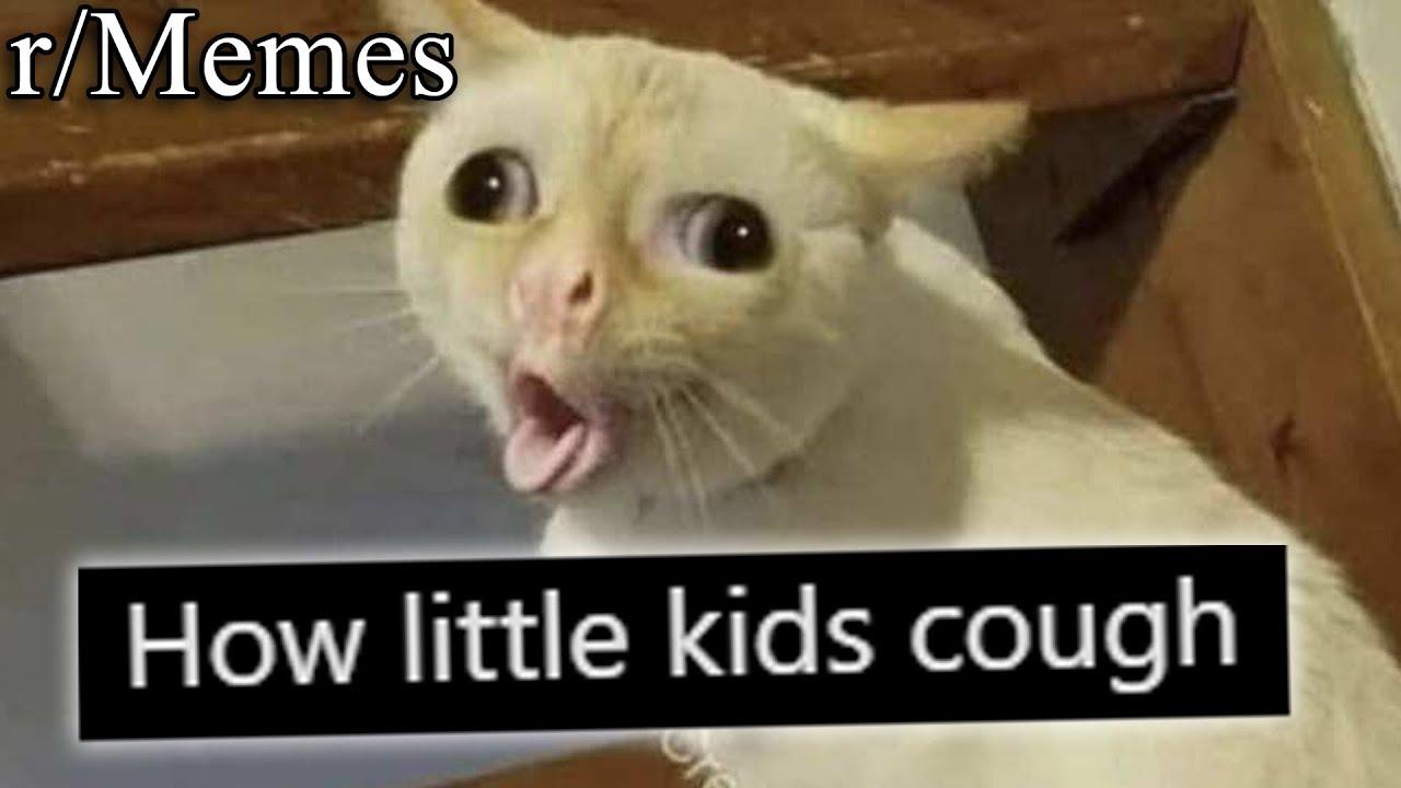 r/Memes
How little kids cough