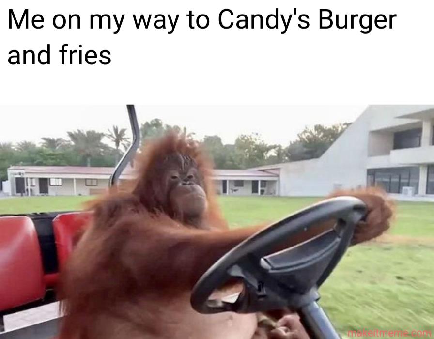 Me on my way to Candy's Burger
and fries
makeitmeme.com.