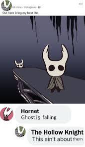 Out here living my best life
Hornet
Ghost is falling
T
The Hollow Knight
This ain't about them