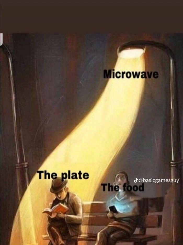 The plate
Microwave
@basicgamesguy
The food