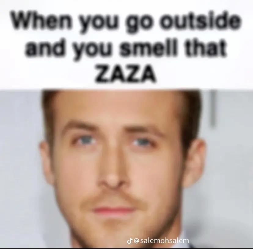 A meme with the text "When you go outside and you smell that ZAZA." below it is the face of Ryan Gosling. The image has some blur.