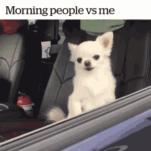 Morning people vs me