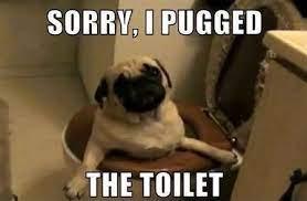 SORRY, I PUGGED
THE TOILET