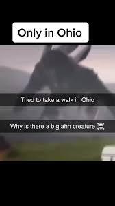 Only in Ohio
Tried to take a walk in Ohio
Why is there a big ahh creature