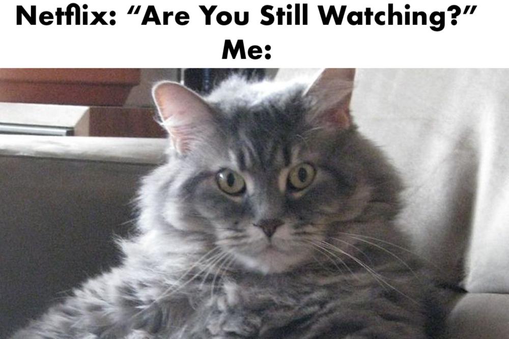 Netflix: "Are You Still Watching?"
Me:
%