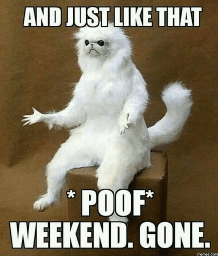 AND JUST LIKE THAT
*
POOF*
WEEKEND. GONE.
memes.com