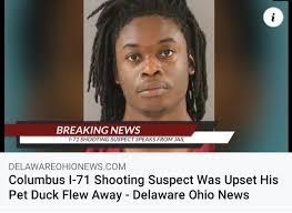 BREAKING NEWS
* 1973 SHOOTING SUSPECT SPEAKS FROM JAX
i
DELAWAREOHIONEWS.COM
Columbus 1-71 Shooting Suspect Was Upset His
Pet Duck Flew Away - Delaware Ohio News