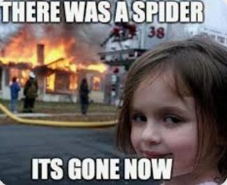 THERE WAS A SPIDER
38
ITS GONE NOW