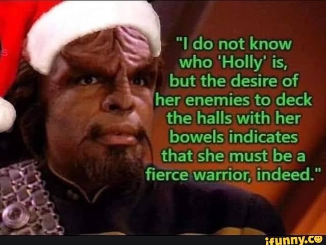 "I do not know
who 'Holly' is,
but the desire of
her enemies to deck
the halls with her
bowels indicates
that she must be a
fierce warrior, indeed."
ifunny.co