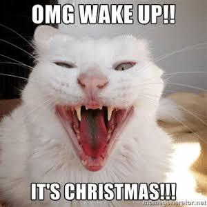 OMG WAKE UP!!
IT'S CHRISTMAS!!!
meregenerator.net