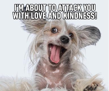 I'M ABOUT TO ATTACK YOU
WITH LOVE AND KINDNESS!