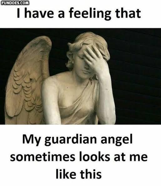 FUNDOES.COM
I have a feeling that
My guardian angel
sometimes looks at me
like this