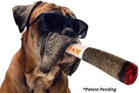 PAW
*Potent Pending