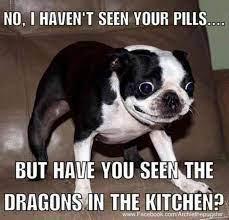 NO, I HAVEN'T SEEN YOUR PILLS....
BUT HAVE YOU SEEN THE
DRAGONS IN THE KITCHEN?
www.Facebook.com/Archeo opti