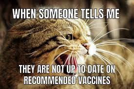 WHEN SOMEONE TELLS ME
THEY ARE NOT UP TO DATE ON
RECOMMENDED VACCINES