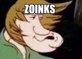 A picture of Shaggy from Scooby-Doo with a distorted face and the text "ZOINKS" above him.