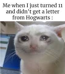 A white cat with tears in its eyes. The text on the image says, "Me when I just turned 11 and didn't get a letter from Hogwarts."