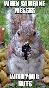 WHEN SOMEONE
MESSES
WITH YOUR
NUTS