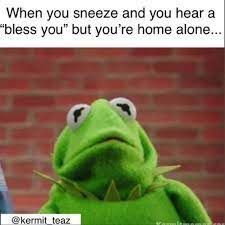 When you sneeze and you hear a
"bless you" but you're home alone...
@kermit_teaz
S