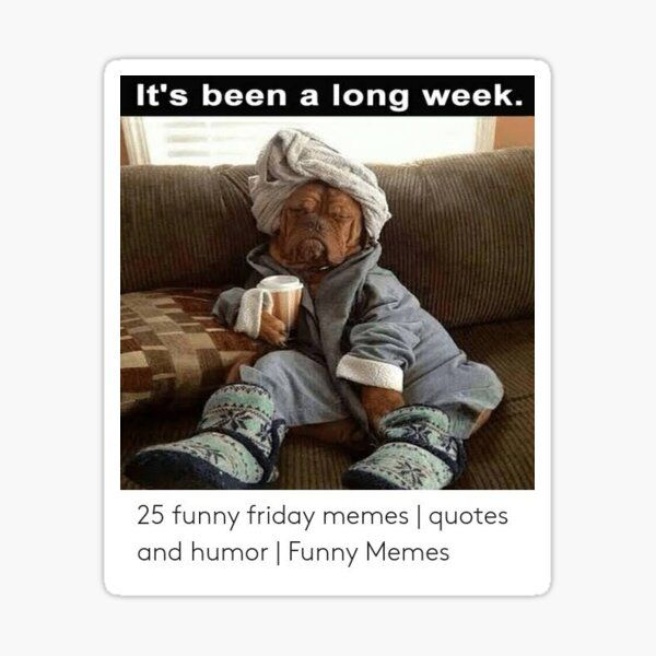 It's been a long week.
25 funny friday memes | quotes
and humor | Funny Memes