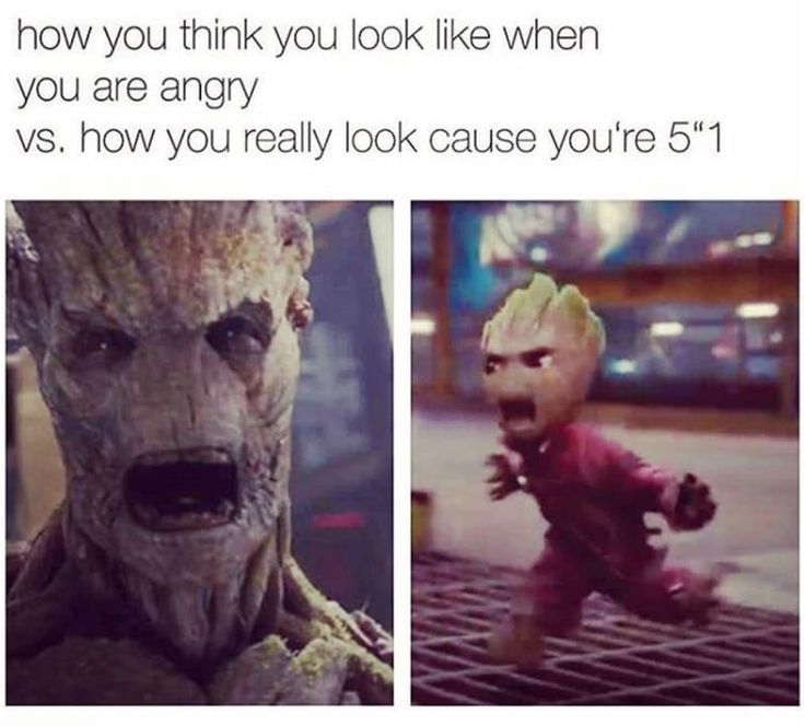 how you think you look like when
you are angry
vs. how you really look cause you're 5"1