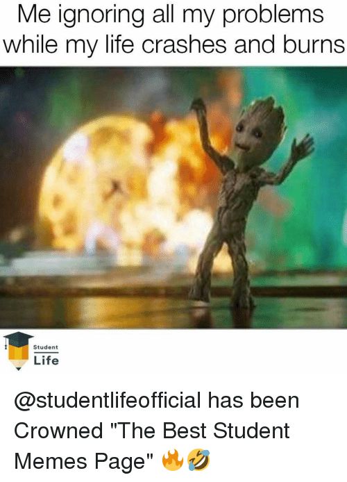 Me ignoring all my problems
while my life crashes and burns
Student
Life
@studentlifeofficial has been
Crowned "The Best Student
Memes Page"