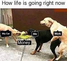 How life is going right now
My Car
Money
Me
Work