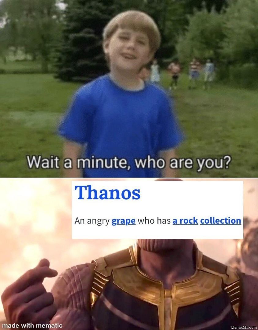 Wait a minute, who are you?
Thanos
made with mematic
An angry grape who has a rock collection
MemneZila.com