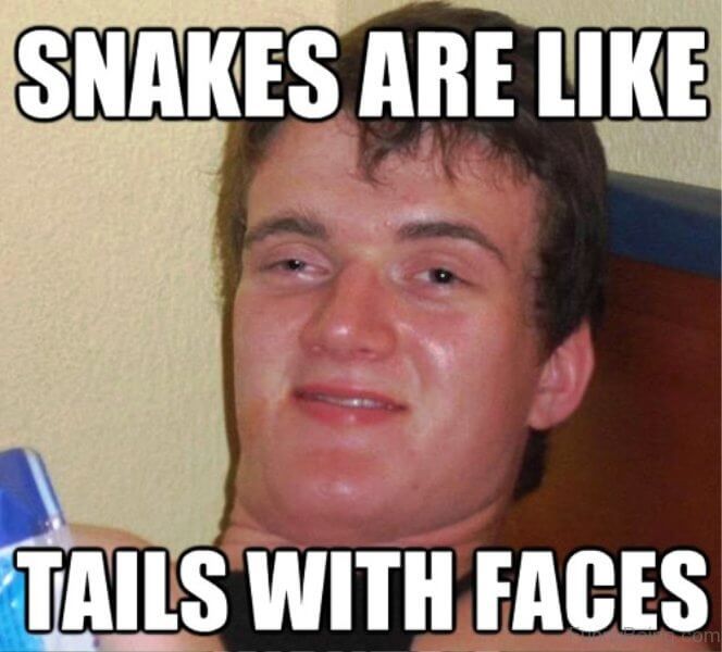 SNAKES ARE LIKE
TAILS WITH FACES
..com