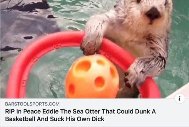 A sea otter is holding a red plastic hoop and an orange ball in a body of water. The text below the image reads: "RIP In Peace Eddie The Sea Otter That Could Dunk A Basketball And Suck His Own Dick"