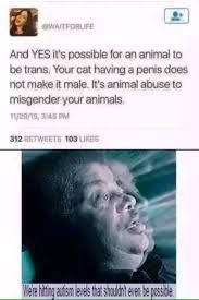 WATFORLIFE
And YES it's possible for an animal to
be trans. Your cat having a penis does
not make it male. It's animal abuse to
misgender your animals
TUR/S, APM
312 RETWEETS 103 LIKES
We're hifting autism levels that shouldnt even be possible