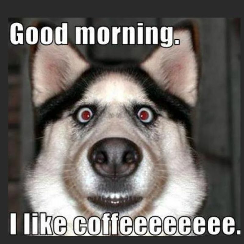 Good morning.
O
I like coffeeeeeeee.