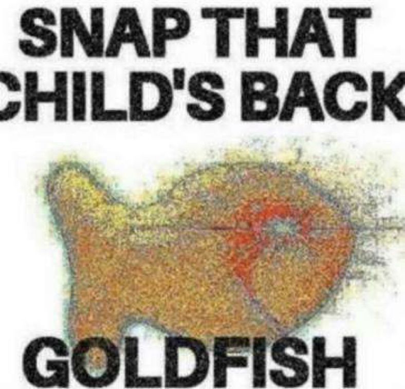 SNAP THAT
CHILD'S BACK
GOLDFISH