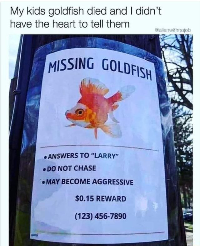 My kids goldfish died and I didn't
have the heart to tell them
@alienwithnojob
MISSING GOLDFISH
ANSWERS TO "LARRY"
DO NOT CHASE
MAY BECOME AGGRESSIVE
$0.15 REWARD
(123) 456-7890