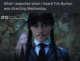 The image shows a photoshopped picture of Wednesday Addams with a mustache and a dark, almost sinister look. The text above the image reads: "What I expected when I heard Tim Burton was directing Wednesday."