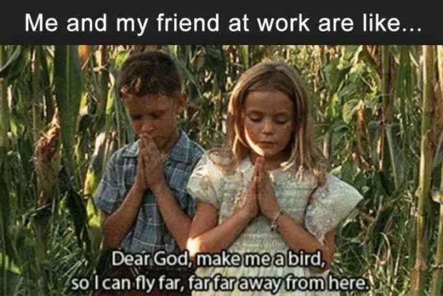 Me and my friend at work are like...
Dear God, make me a bird,
so I can fly far, far far away from here.