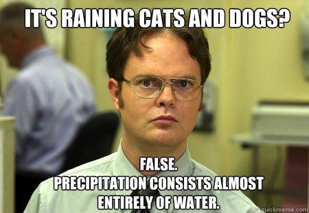 IT'S RAINING CATS AND DOGS?
FALSE.
PRECIPITATION CONSISTS ALMOST
ENTIRELY OF WATER.
quickmeme.com