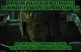 WHEN YOU REALIZE ALL THE STRUGGLES
OF HUMANITY, CHAOS, ELDAR, ORKS, AND TAU
ARE CHILDS PLAY COMPARED TO WHAT
THE NECRONS HAVE DONE AND WILL DO AGAIN