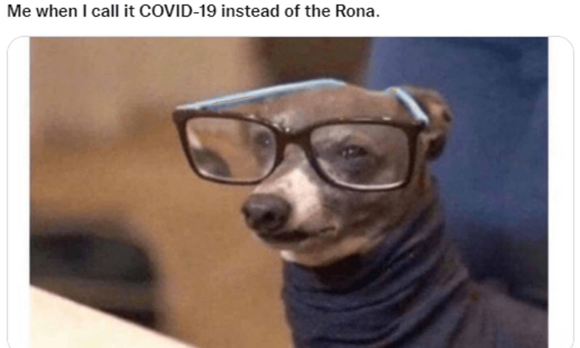 Me when I call it COVID-19 instead of the Rona.