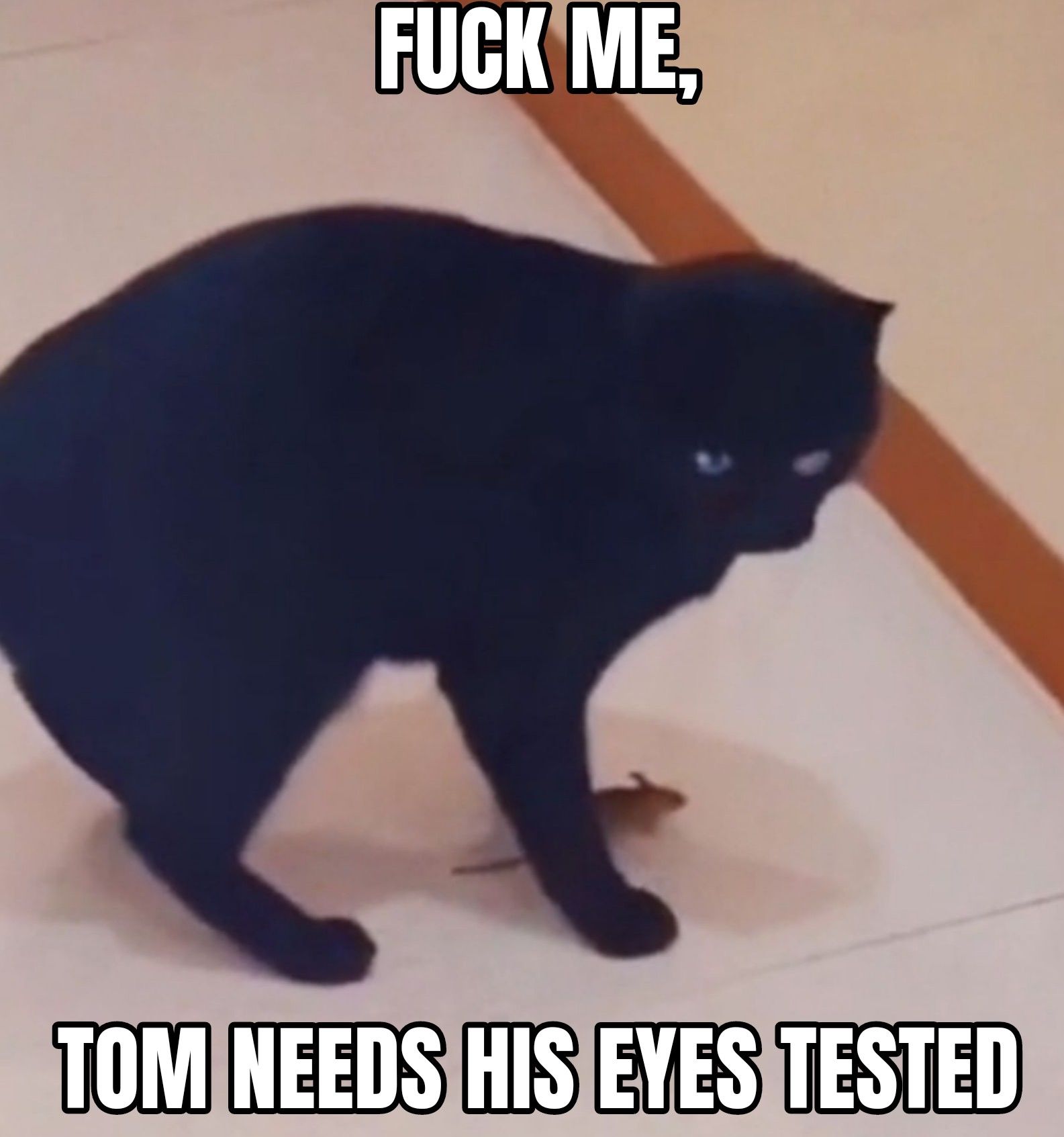 FUCK ME,
TOM NEEDS HIS EYES TESTED