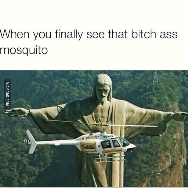 When you finally see that bitch ass
mosquito
VIA 9GAG.COM