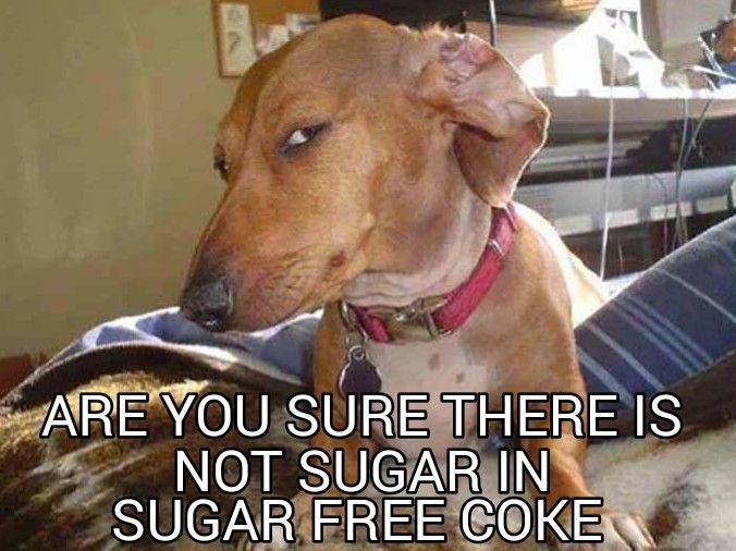 47
ARE YOU SURE THERE IS
NOT SUGAR IN
SUGAR FREE COKE