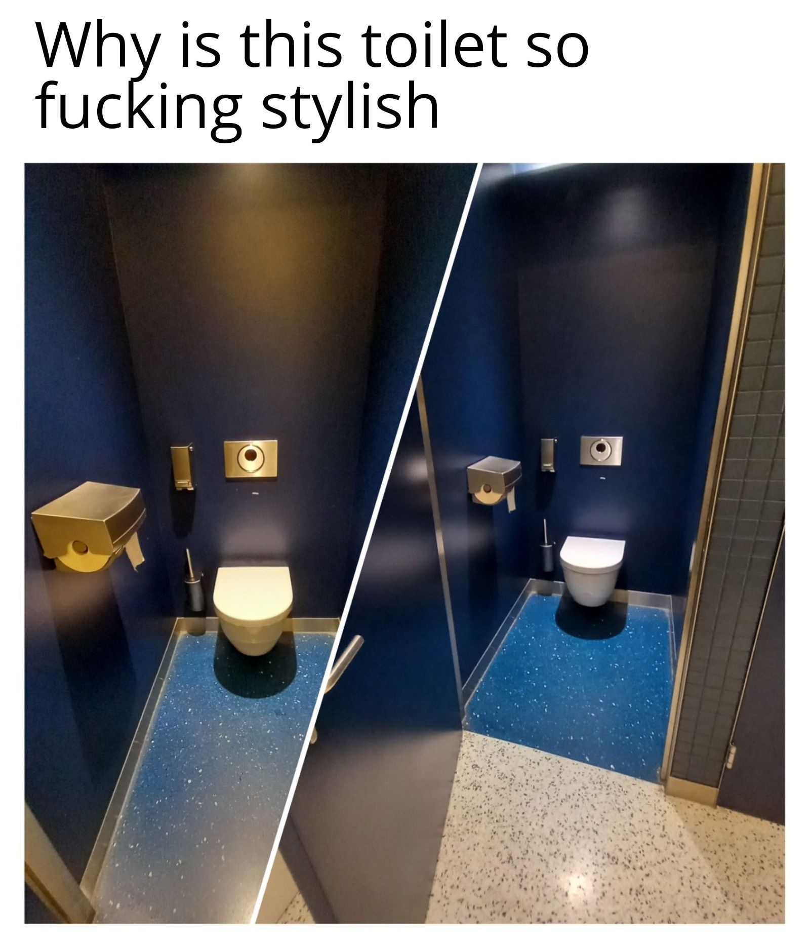 Why is this toilet so
fucking stylish