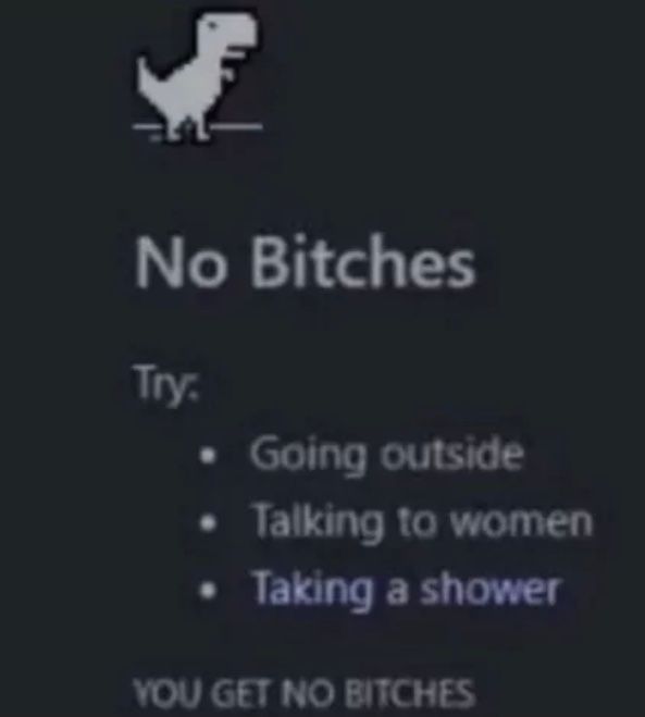 The image is a screen that looks like an error message with a dinosaur. The text says "No Bitches". Underneath it says "Try:" followed by a list of suggestions: "Going outside", "Talking to women", and "Taking a shower". The message concludes with "You get no bitches".