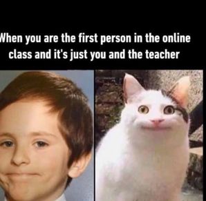 When you are the first person in the online
class and it's just you and the teacher